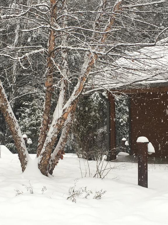 Chestertown The Fern Lodge المظهر الخارجي الصورة