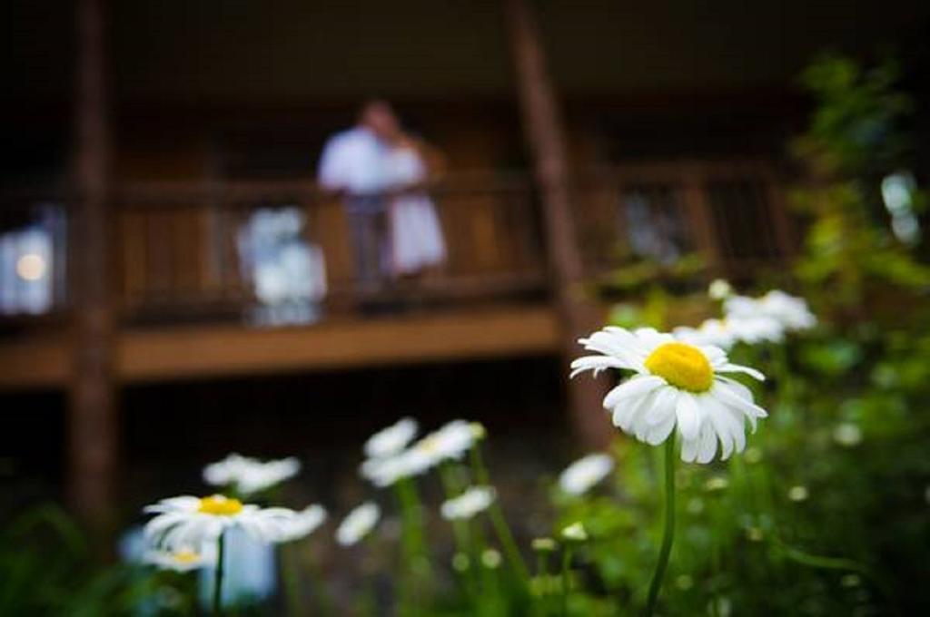 Chestertown The Fern Lodge المظهر الخارجي الصورة