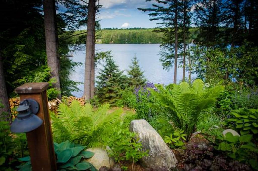 Chestertown The Fern Lodge المظهر الخارجي الصورة