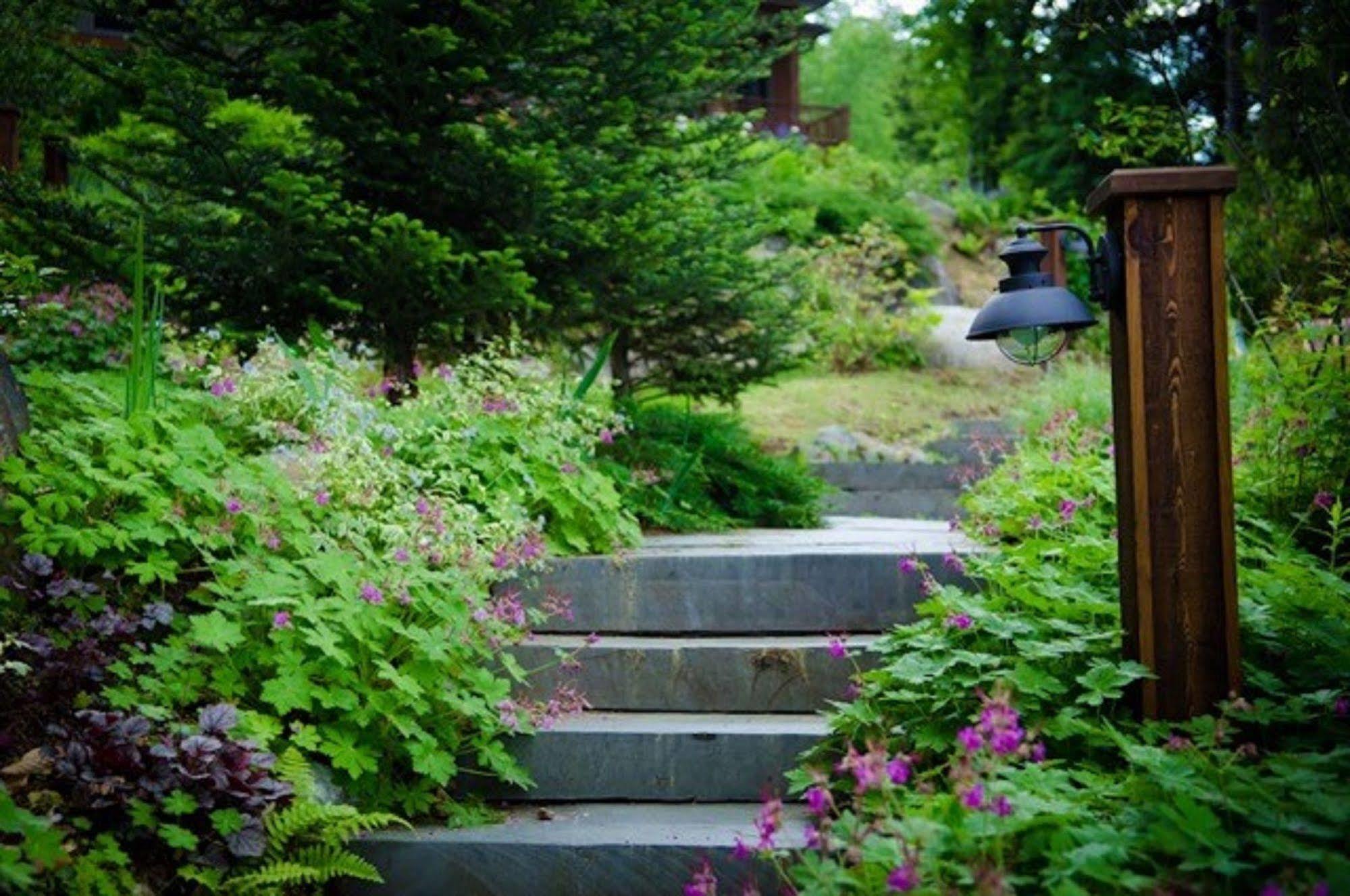 Chestertown The Fern Lodge المظهر الخارجي الصورة