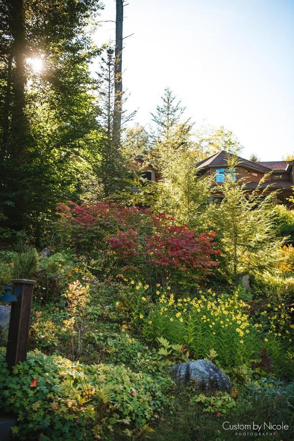 Chestertown The Fern Lodge المظهر الخارجي الصورة